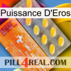 Eros Power new05